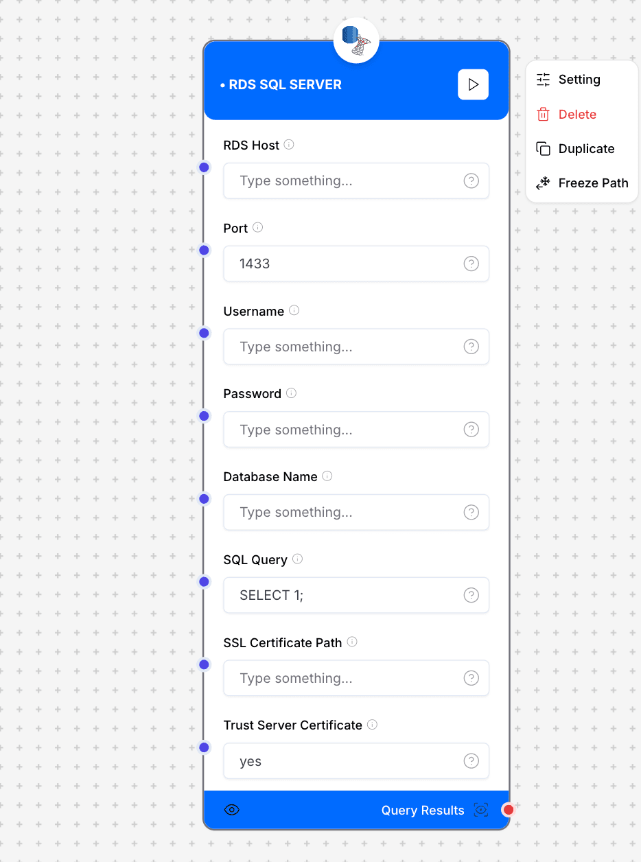 RDS SQL Server Loader Interface